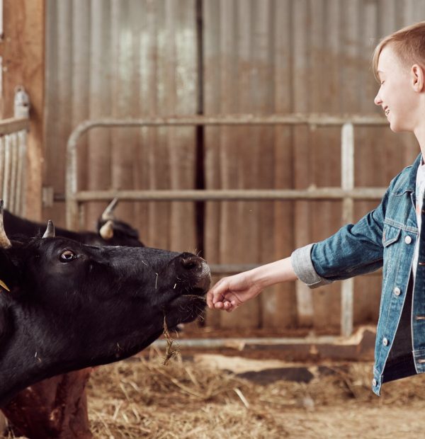 VIETA SUSITIKTI SU SMALSUMU, SVAJONĖMIS IR SAVIMI