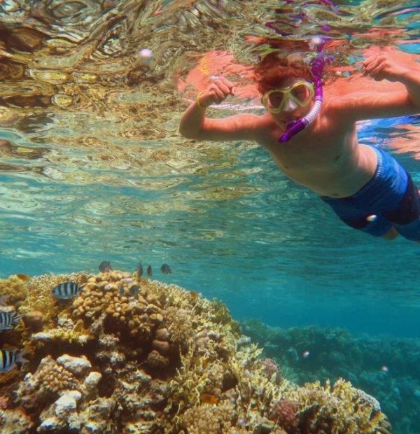 NAUJIENA LIETUVOJE – MOKSLEIVIŲ ATOSTOGŲ STOVYKLOS UŽSIENYJE