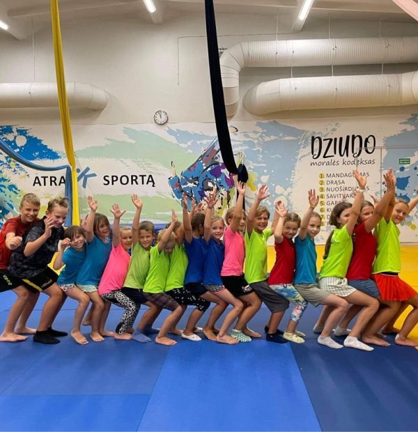 Dieninė ORO AKROBATIKOS stovykla