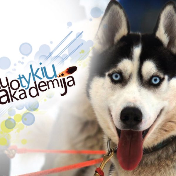 Nuotykių akademija stovyklos 2023