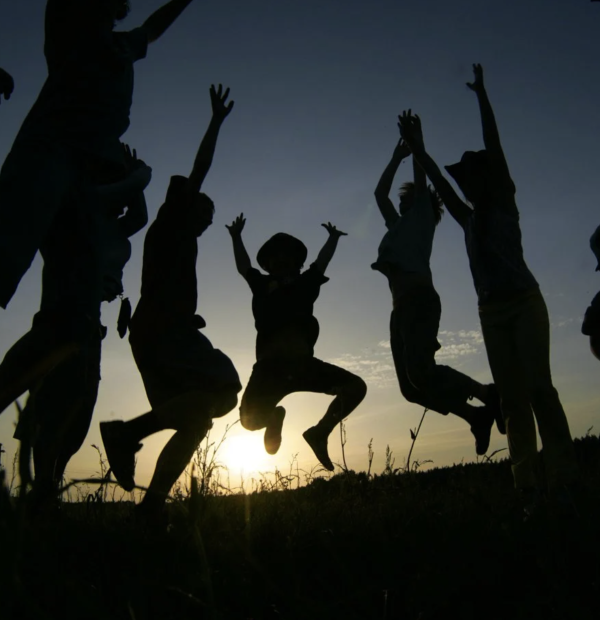 Stovyklumuge.lt interviu Lrytas.lt straipsnyje 2024