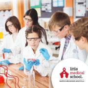 Mazoji medicinos stovykla