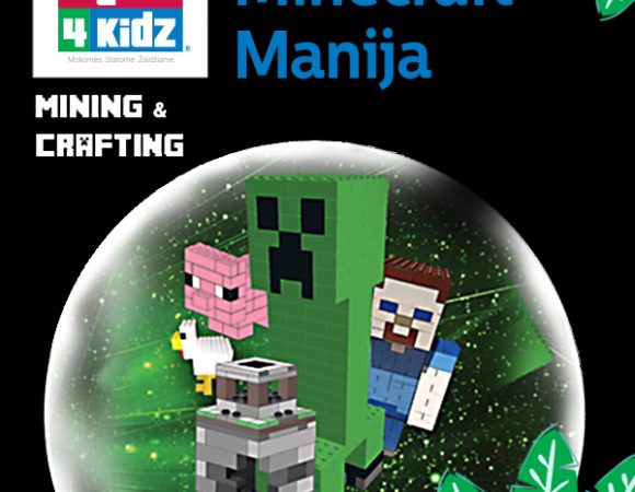 Bricks 4 Kidz®Minecraft Manija
