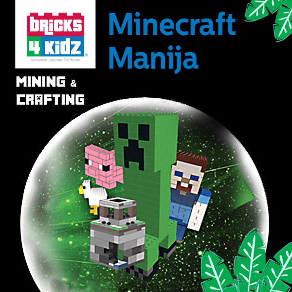 Bricks 4 Kidz®Minecraft Manija
